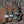 KINGMAN TURQUOISE + WHITE BUFFALO NECKLACE