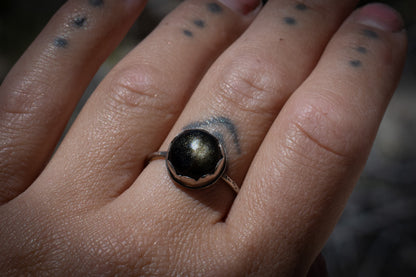 GOLDEN OBSIDIAN RING - 9