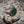 JADE RING - 6