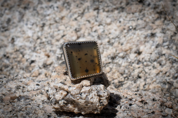 MONTANA AGATE RING - 6