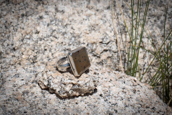 MONTANA AGATE RING - 6