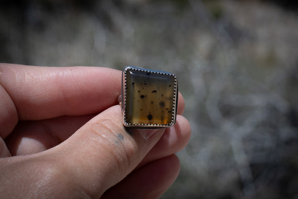 MONTANA AGATE RING - 6
