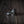 MOOD RING - 4.5