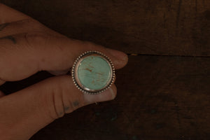 Royston Turquoise + Sterling Silver Ring ~ Size 8.5