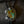 NATURAL FOX MINE TURQUOISE BOLO TIE