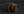 MEN'S TIGERS EYE RING - 12.75